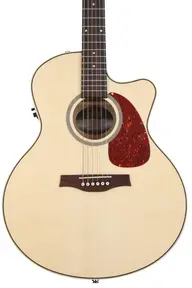 Seagull guitars review - 8 Options to Choose From