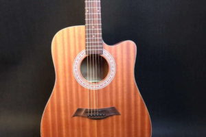 Plywood Guitar – Solid Wood Vs Laminate