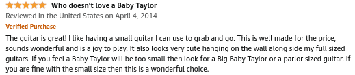 Baby Taylor BT1 Review 01