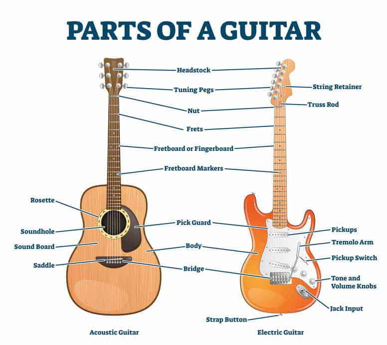 Parts of a Guitar