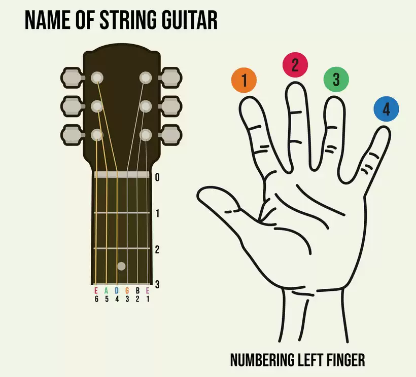 Guitar String and Finger Numbering