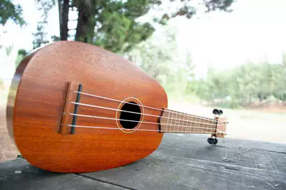 Pineapple Ukulele