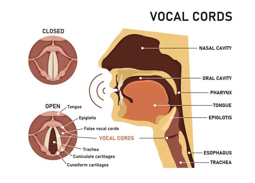 Vibrato Singing