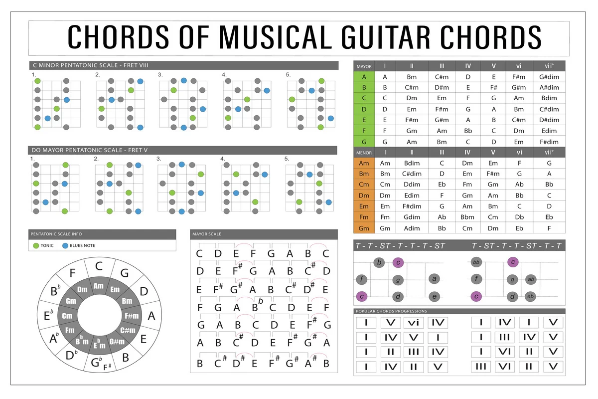 Guitar Scale Degree Names