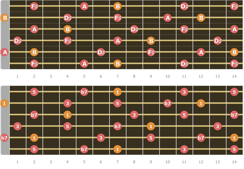 B7 Chord Tones Up to 14 Fret